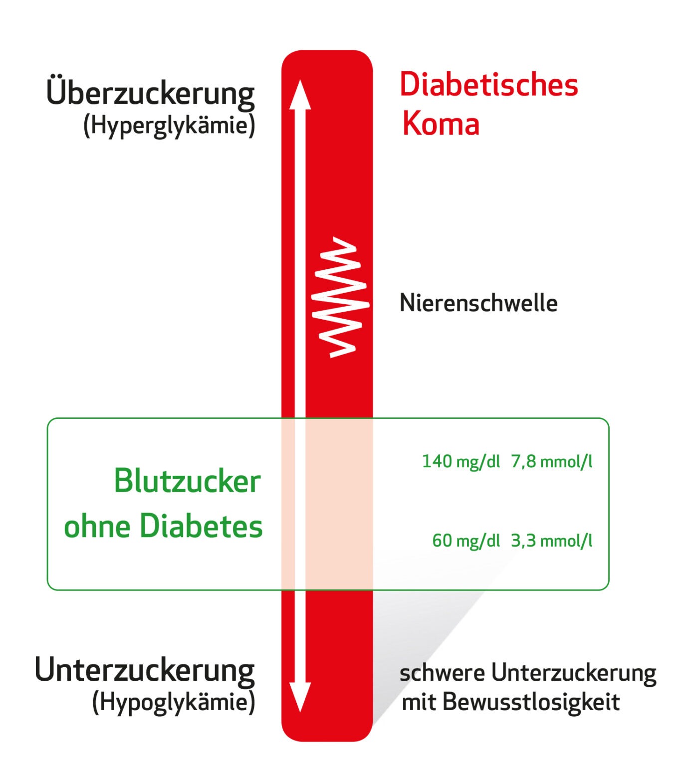 Blutzuckerwerte – DMP-Onlinetraining